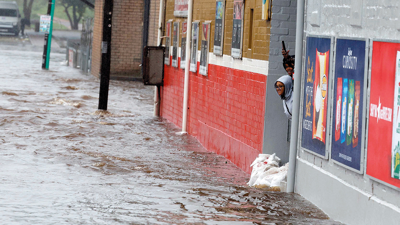 أشجار سقطت على سيارات في الطريق. رويترز