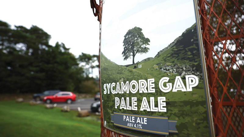 سنة 2016 حصلت &laquo;سيكامور غاب&raquo; على لقب &laquo;شجرة العام&raquo;. رويترز