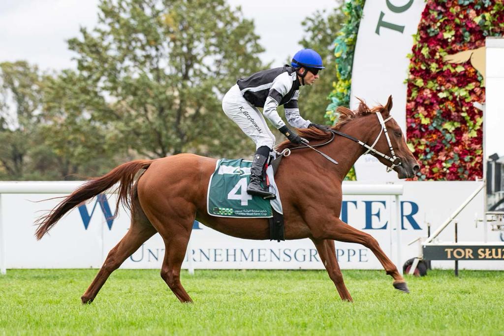 المهرة "عائشة الشحانية" تظفر بسباق بولندا.
من المصدر