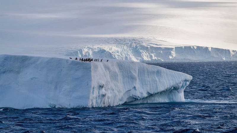 الحياة البيئية مهددة بسبب الذوبان المتسارع للجليد. أرشيفية