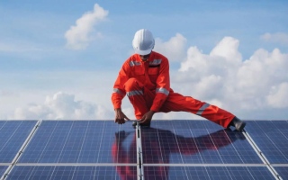 الصورة: الطاقة النظيفة والتدوير والزراعة الأعلى طلباً على وظائف الاستدامة بالإمارات