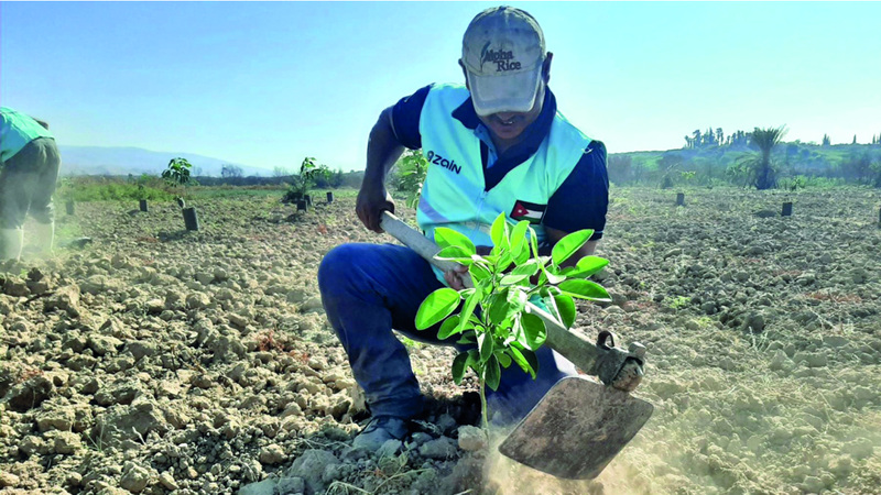 يمكن أن تحقق زراعة الكربون الفائدة للجميع إذا تمت بصورة صحيحة. أرشيفية