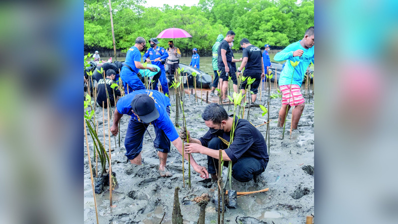 الأشجار بعد زراعتها تعمل  على امتصاص الكربون من الجو خلال نموها. أرشيفية