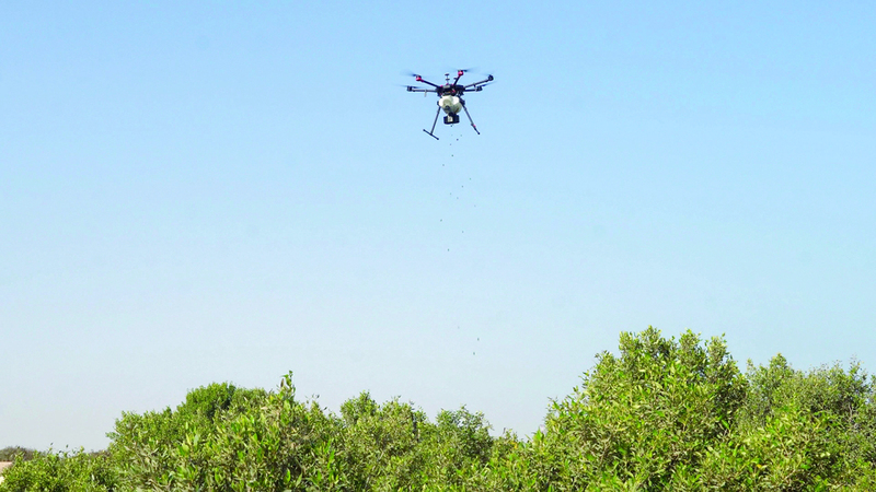 المرحلة الأولى من المبادرة نفذت باستخدام الطائرات المُسيّرة المبتكرة. أرشيفية