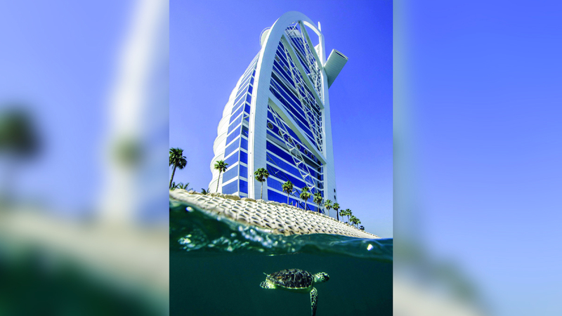 المشروع يسهم في إنقاذ أنواع مهددة. أرشيفية