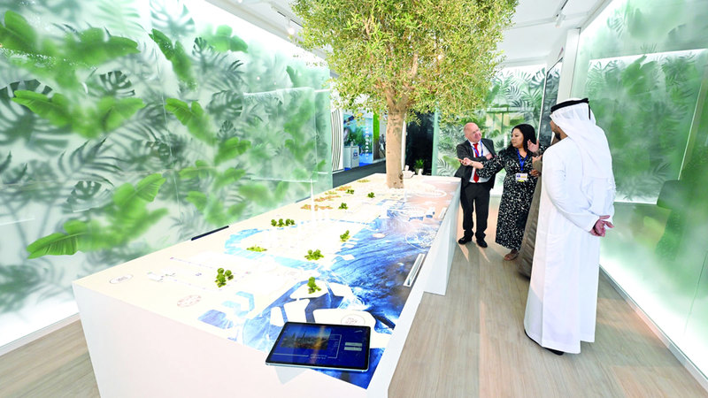 إزالة الكربون والحفاظ على البيئة يزيدان الفرص للجميع. تصوير: يوسف الهرمودي