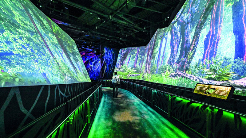 المسابقة تدعم أجندة الاستدامة في دولة الإمارات لإحداث تأثير واسع النطاق. تصوير: باتريك كاستيلو