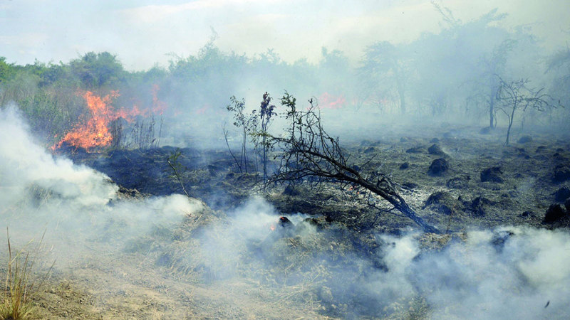 أغلبية الحرائق تخرج عن السيطرة. أرشيفية