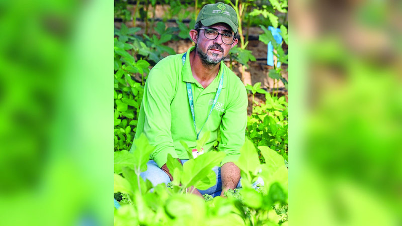 المهندس مدحت البربور يعتني بالمزرعة التي تقدم حلولاً مبتكرة. تصوير: باتريك كاستيلو