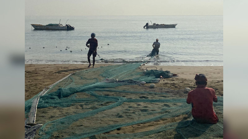 المبادرة تركز على توفير بيئة بحرية أكثر أماناً للجميع. من المصدر