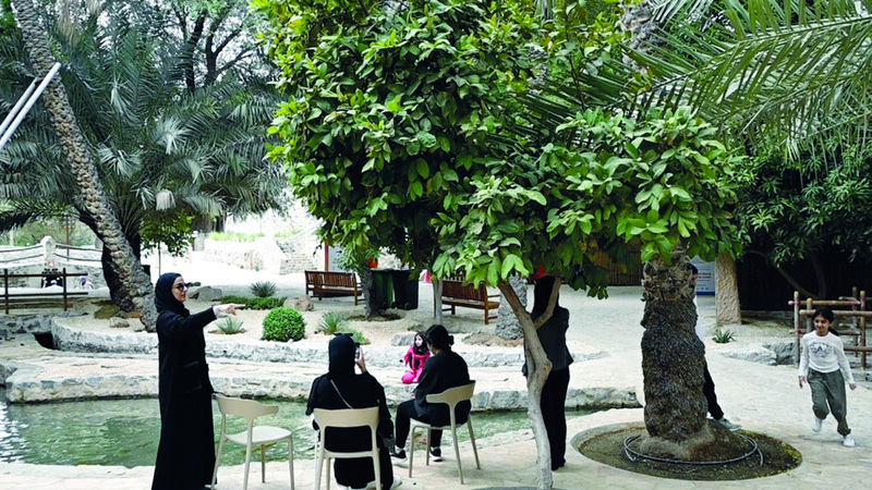 البدواوي يستقبل الزوّار في المقهى تحت ظلال الشجر. تصوير: يوسف الهرمودي