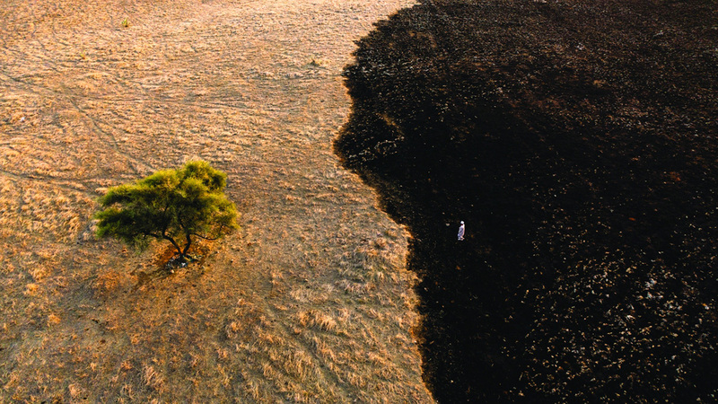 محمد البحر رواس - سلطنة عُمان.