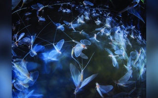 الصورة: زووم.. على العالم