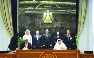 الصورة: &laquo;موانئ أبوظبي&raquo; تشغّل محطة في &laquo;سفاجا&raquo; المصري