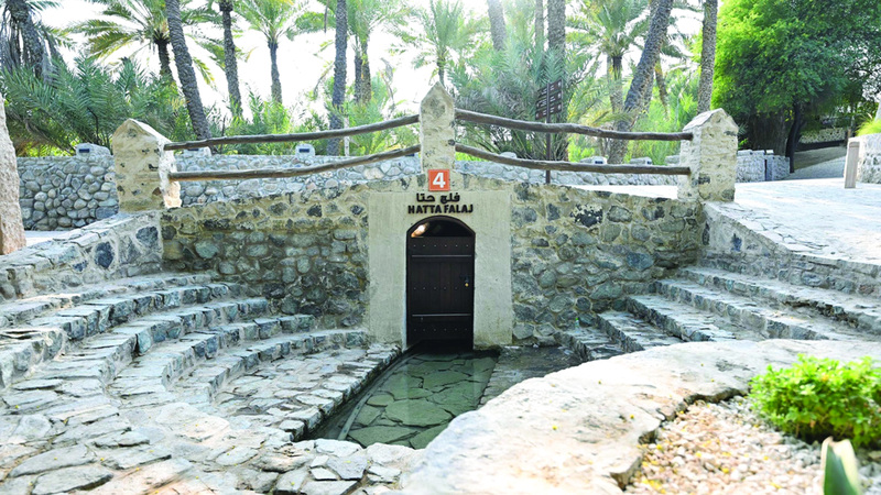 راشد سيعمل مع أشقائه على إضافة مسار جديد خاص بالضيافة. تصوير: يوسف الهرمودي