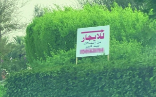 الصورة: لقطة.. إعلانات عشوائية