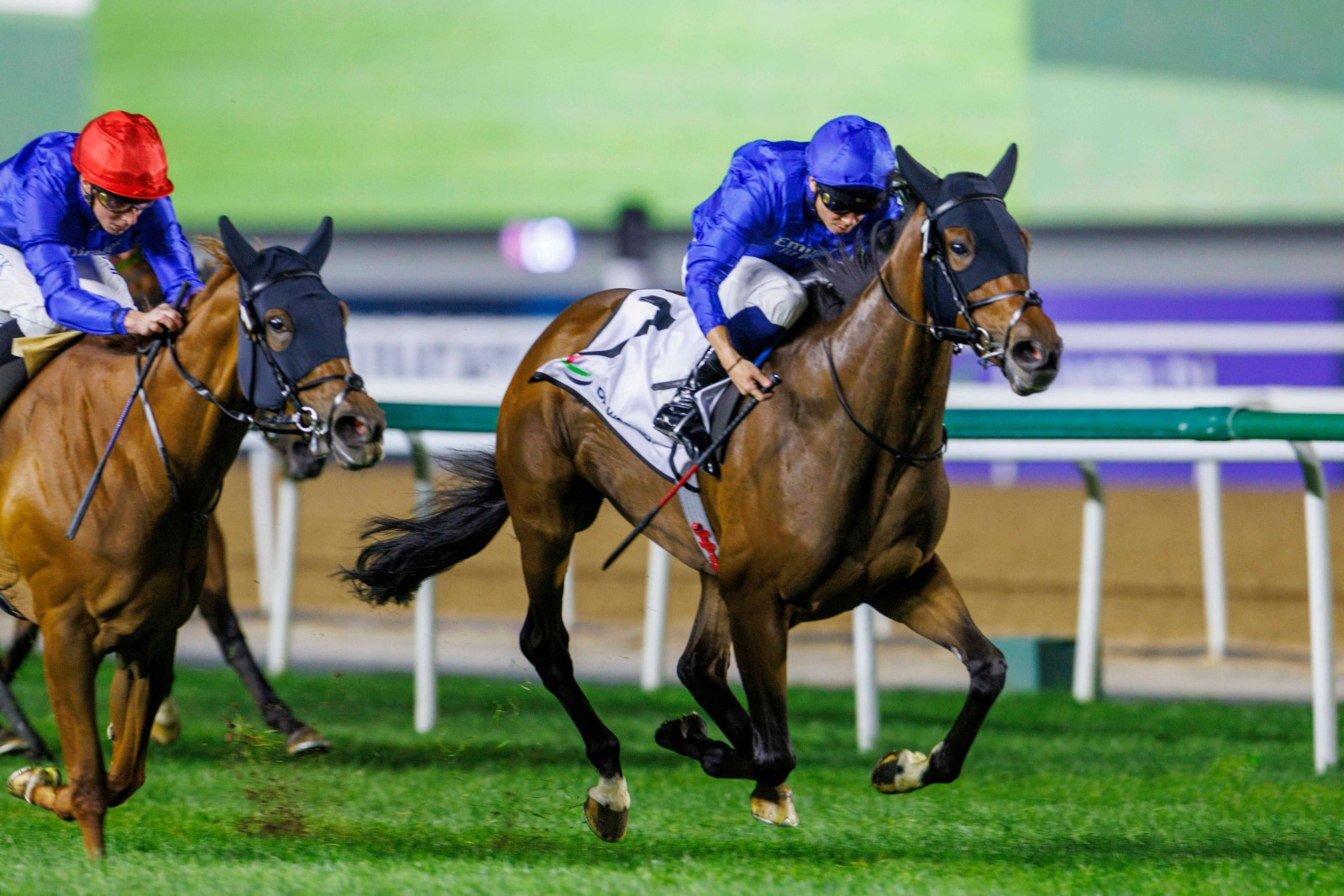Silver Lady presents Godolphin with the 11th star in the Cape Verde Championship in Meydan