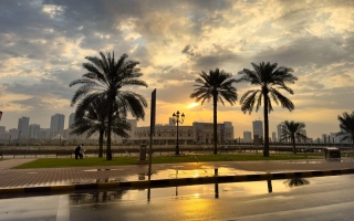 الصورة: رائحة الأمطار تحتضن شوارع الشارقة.. صور