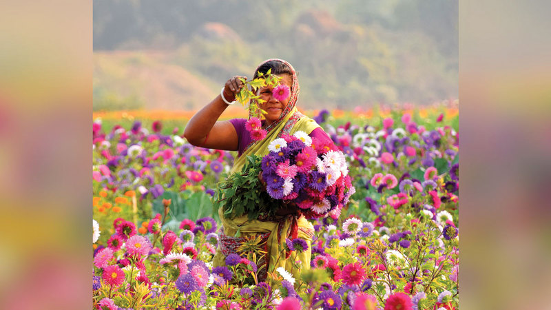 أنجشومان بول فاز في «زهور». من المصدر