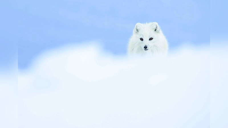 صورة باسمة المطر الفائزة في «نقاء». من المصدر