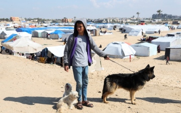 الصورة: كلاب أليفة تجلب لشاب نازح في غزة شعور مختلط بين الفرح والقلق