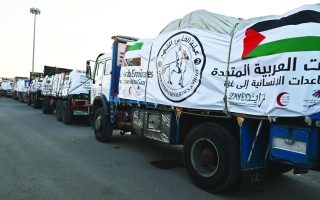 الصورة: 11 شاحنة مساعدات إنسانية إماراتية تدخل غزة
