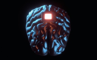الصورة: الشخص الذي زرعت في دماغه شريحة أصبح يتحكم بـ"ماوس الكمبيوتر" بالتفكير .. بدون استخدام يديه