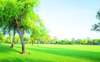 الصورة: «حديقة أم الإمارات»: أنشطة تعزّز الاستدامة في عطلة نهاية الأسبوع
