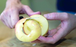 الصورة: صحة.. من الحكة إلى الانتفاخ.. أعراض حساسية التفاح