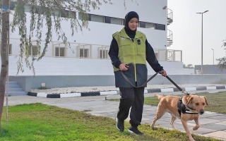الصورة: مريم الشحي.. أول كادر نسائي في تدريب كلاب الآثر البوليسية بشرطة رأس الخيمة