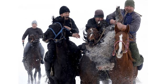 فرسان قيرغيزستان يشاركون في رياضة "كوك-بورو" التقليدية في آسيا الوسطى، وهم يجرون ماعزاً، في قرية أوتشيمتشيك، على بعد 30 كم من بيشكيك، قيرغيزستان. الصور عن وكالات