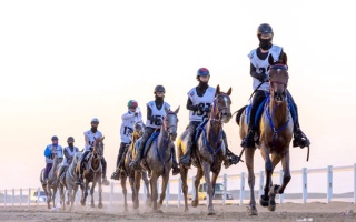 سباق السيدات يفتتح مهرجان أبوظبي للقدرة اليوم