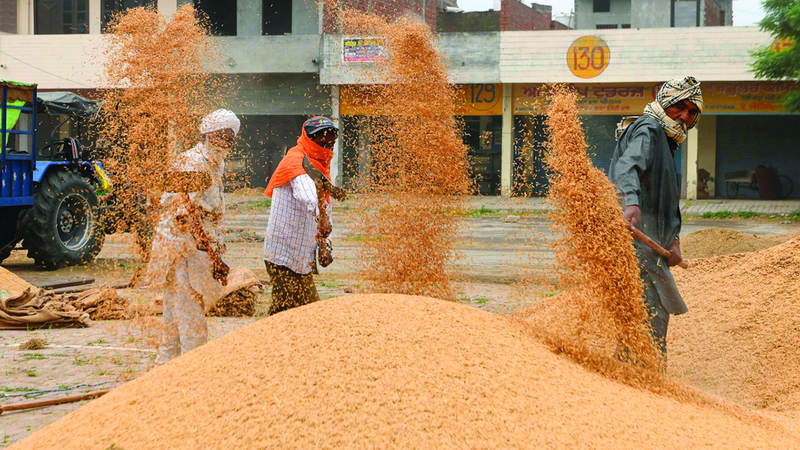 أسواق الأرز تتسم بالتنوّع الكبير الذي يدعم ارتفاع التنافسية بين العلامات التجارية المطروحة. أرشيفية