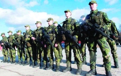 الصورة: جيش السويد النموذجي إضافة نوعية لـ «الناتو»
