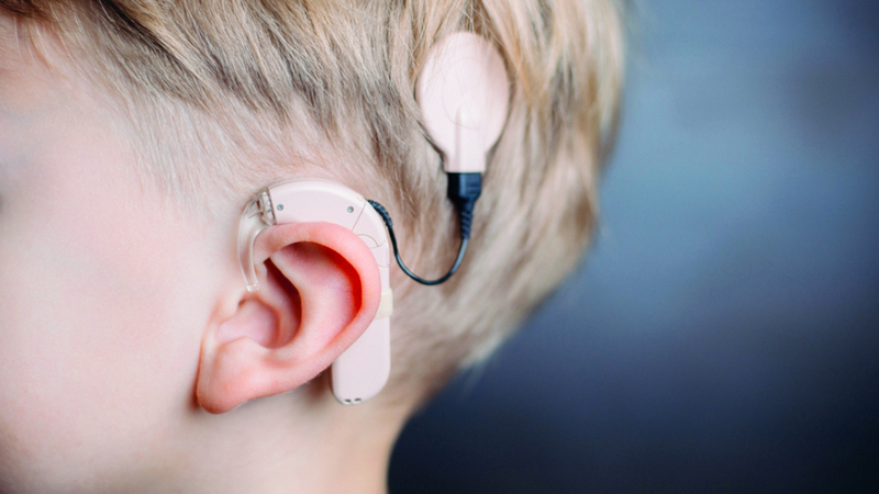 150 ألف درهم كلفة القوقعة الواحدة. من المصدر