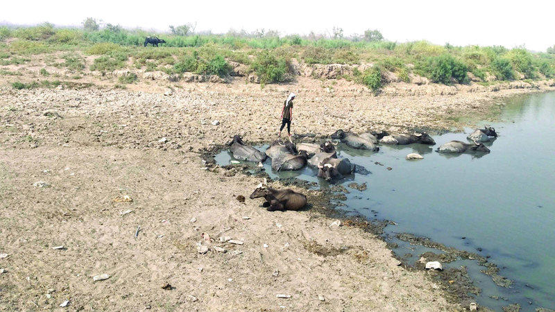 الجفاف يضرب دول العالم الثالث بسبب الممارسات الخاطئة للصناعات. أرشيفية