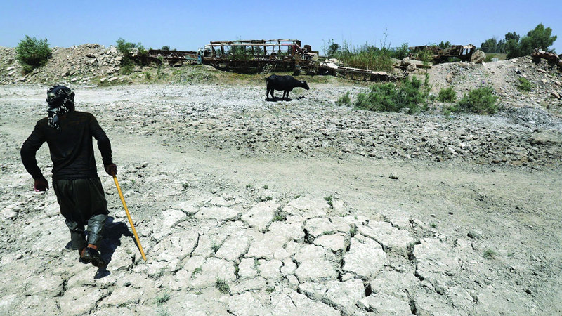 الجفاف في العراق يُنذر بكارثة حقيقية. أرشيفية