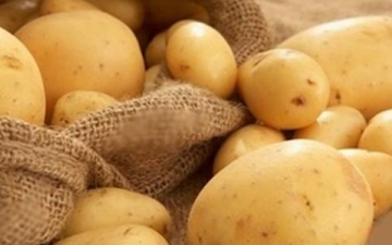 الصورة: السلطات الأميركية تدرس تغيير تصنيف البطاطا من خُضر إلى حبوب