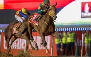 الصورة: كأس دبي العالمي.. مواعيد السباقات وأقوى الخيول المرشحة