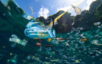 الصورة: 11 مليون طن من النفايات البلاستيكية تتجمَع في قاع محيطات العالم