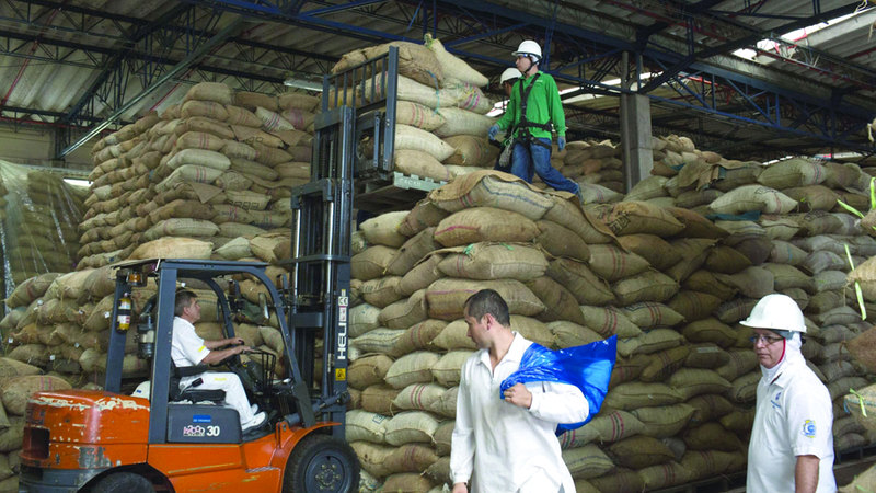 تزايد الطلب العالمي على مادة الكاكاو. أرشيفية