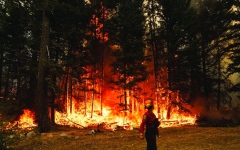 الصورة: كندا تواجه خطر موجة أخرى من حرائق  الغابات المدمرة