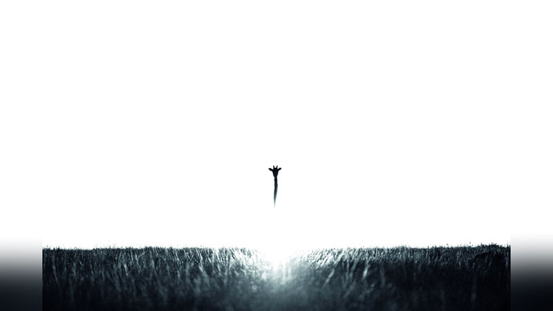 طالب عبدالله المري - السعودية.