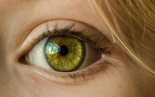 الصورة: ثورة في علاج السُكري: جهاز صغير جداً يُزرع داخل العين