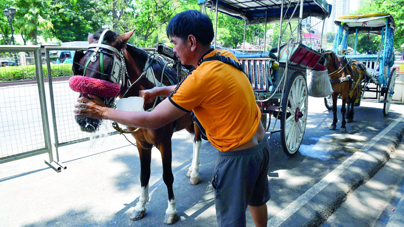 سائق عربة يسكب الماء على رأس حصانه في مانيلا. أ.ف.ب