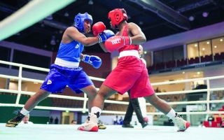 الصورة: «منتخب الملاكمة» يظفر بـ 17 ميدالية في «الألعاب الخليجية»