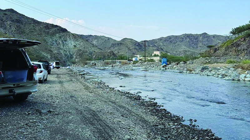 الهيئة أكدت متابعة تطورات الحالة البيئية بعد الأمطار. من المصدر