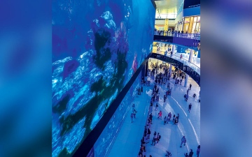 الصورة: كنوز «الأعماق» ترسم لوحة زرقاء في دبي