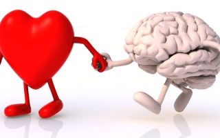 الصورة: هل تعرف"دماغ الحب"؟..مرض يحول حياة العشاق إلى كابوس
