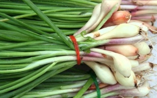 الصورة: يُشبه البصل الأخضر بالطعم والشكل.. تعرف إلى فوائد الكراث؟
